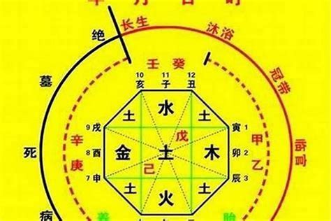 如何知道自己忌水|生辰八字算命、五行喜用神查询（免费测算）